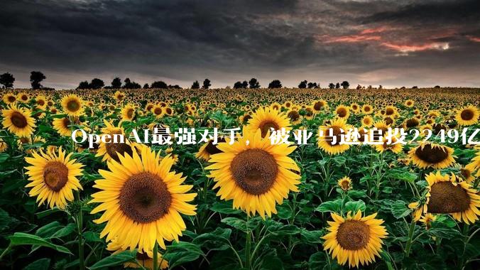 OpenAI最强对手，被亚马逊追投2249亿_Claude_约合_模型