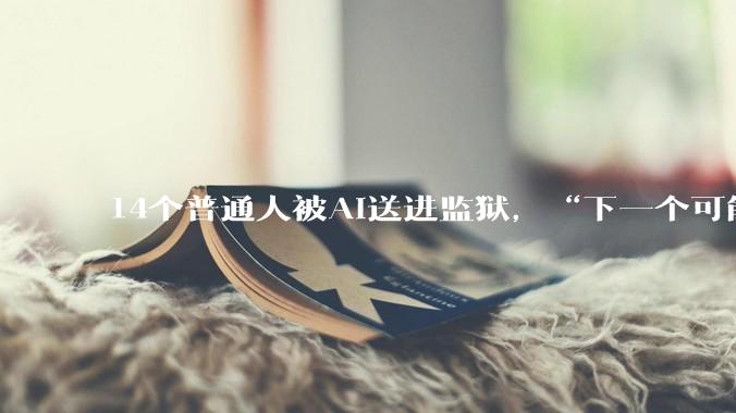 14个普通人被AI送进监狱，“下一个可能是任何曾在网上露脸的人”_安吉拉·利普斯_法戈_监控