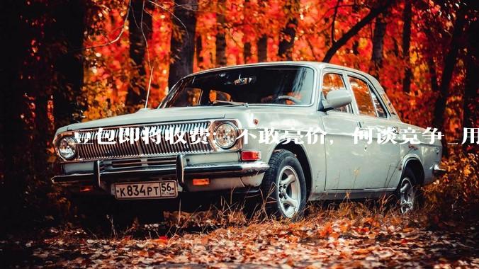豆包即将收费：不敢亮价，何谈竞争_用户_OpenAI_ChatGPT